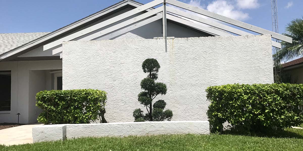 Brian The Tree Guy Englewood Florida's premier tree trimming, stump